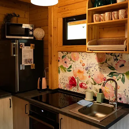 Borowa Holiday home Borowy Mlyn