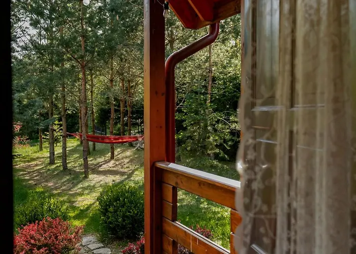 Borowa * Borowy Mlyn